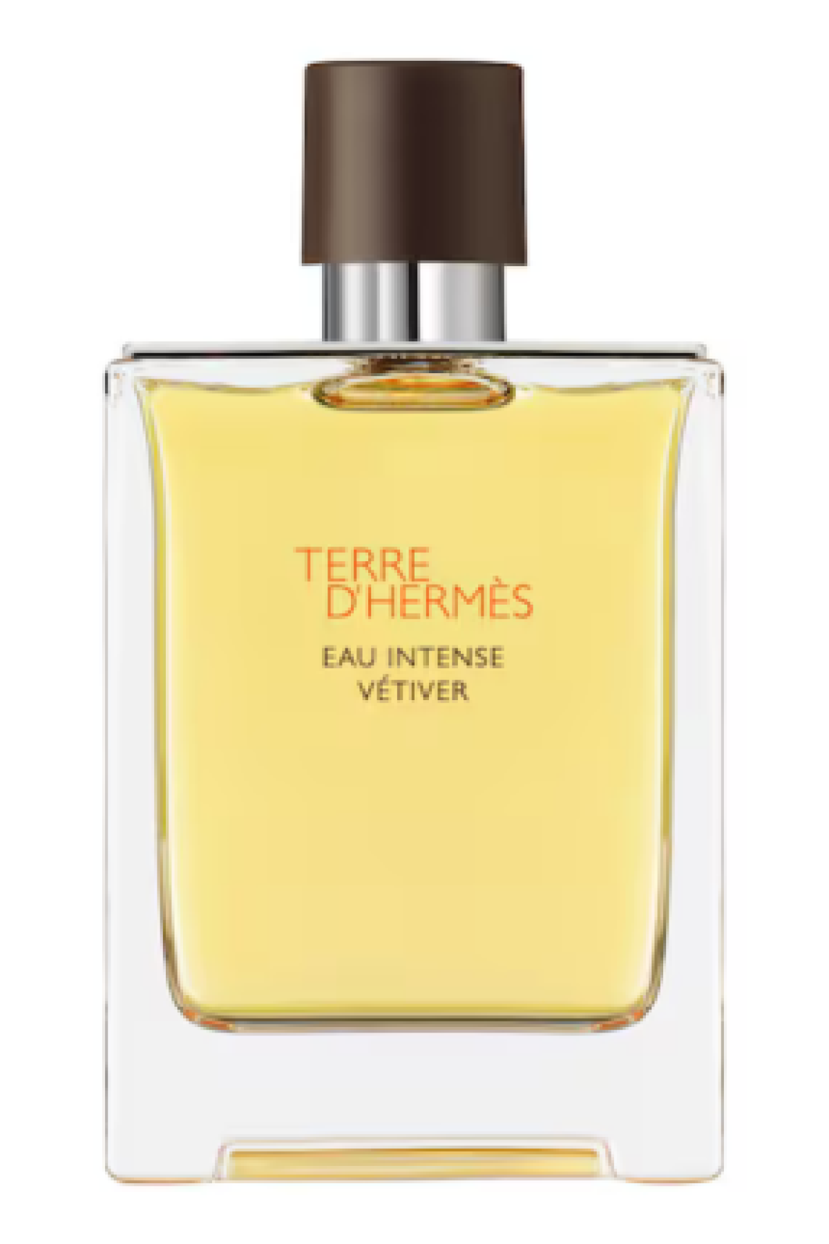 HERMES TERRE D'HERMES EAU INTENSE VETİVER EDP 100 ML ERKEK PARFÜM