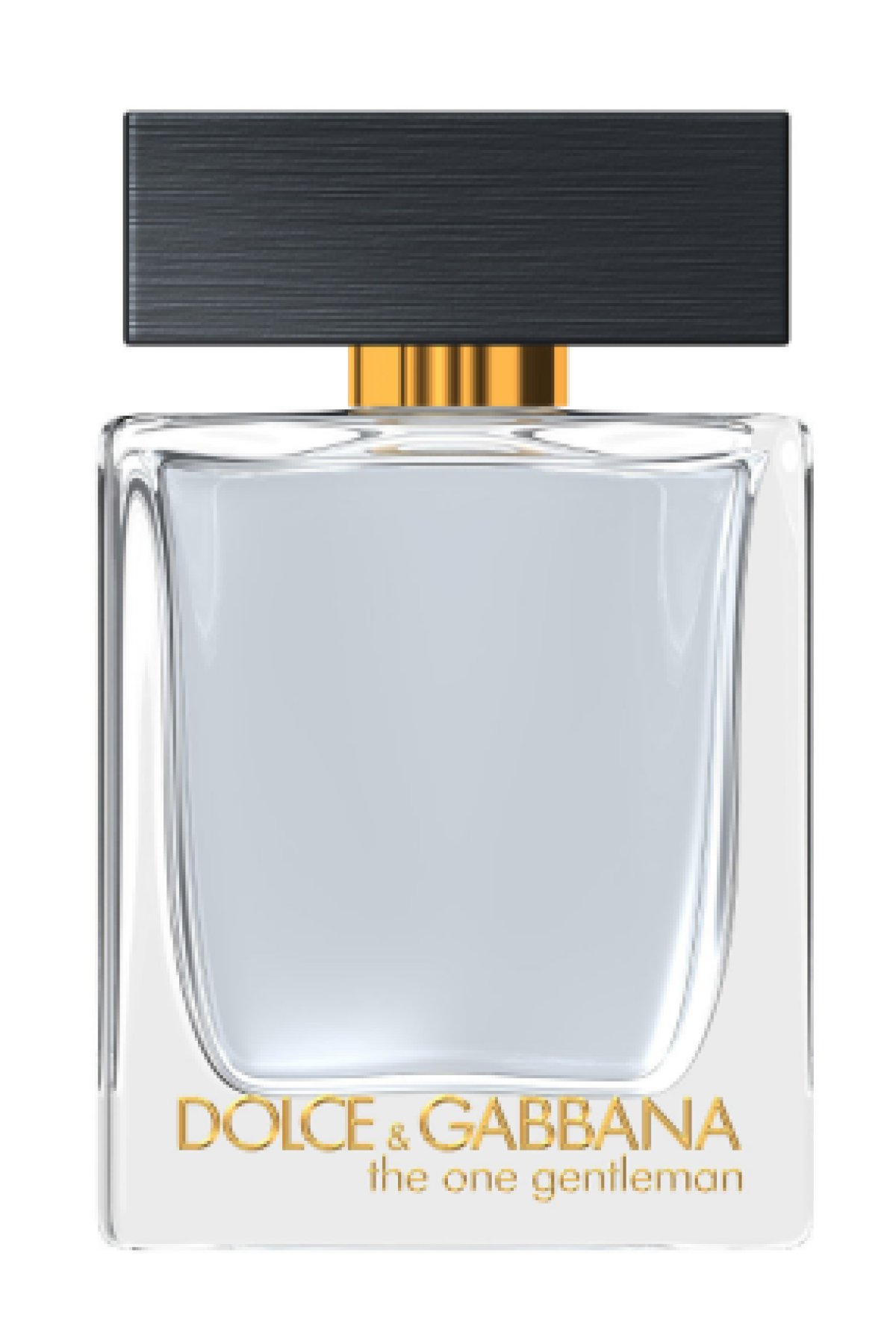 DOLCE GABBANA THE ONE GENTLEMAN EDP 100 ML