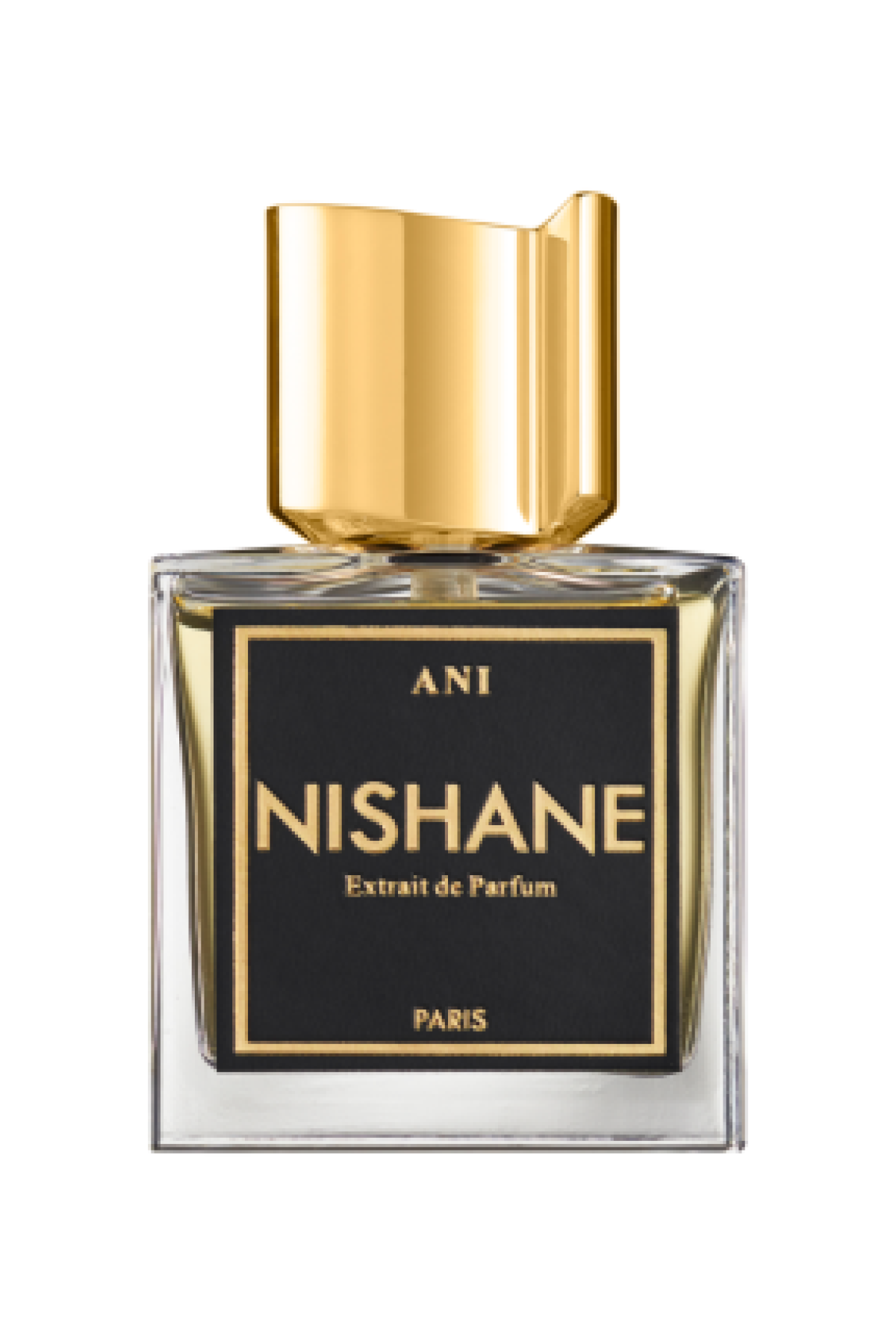 NISHANE ANI EXTRAIT DE PARFUM  100 ML